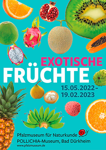 Plakat Exotische Früchte