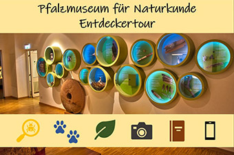 Entdeckertour im Pfalzmuseum für Naturkunde