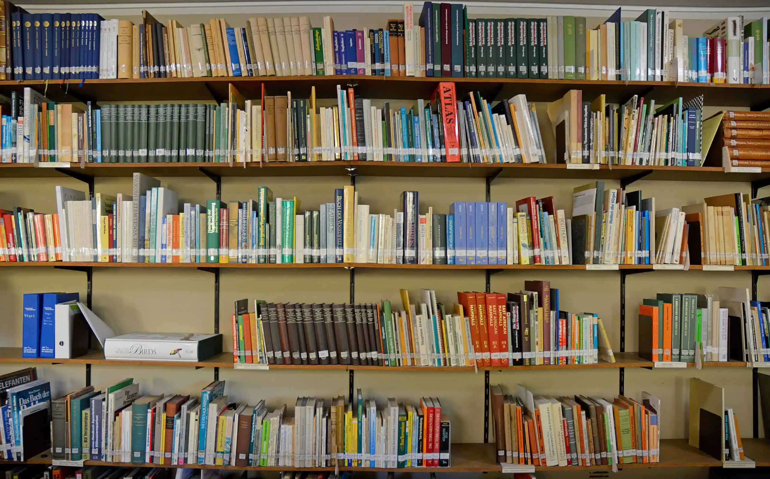 Das Foto zeigt einen Ausschnitt der Bibliothek. In den Regalen stehen Hunderte naturwissenschaftlicher Bücher.