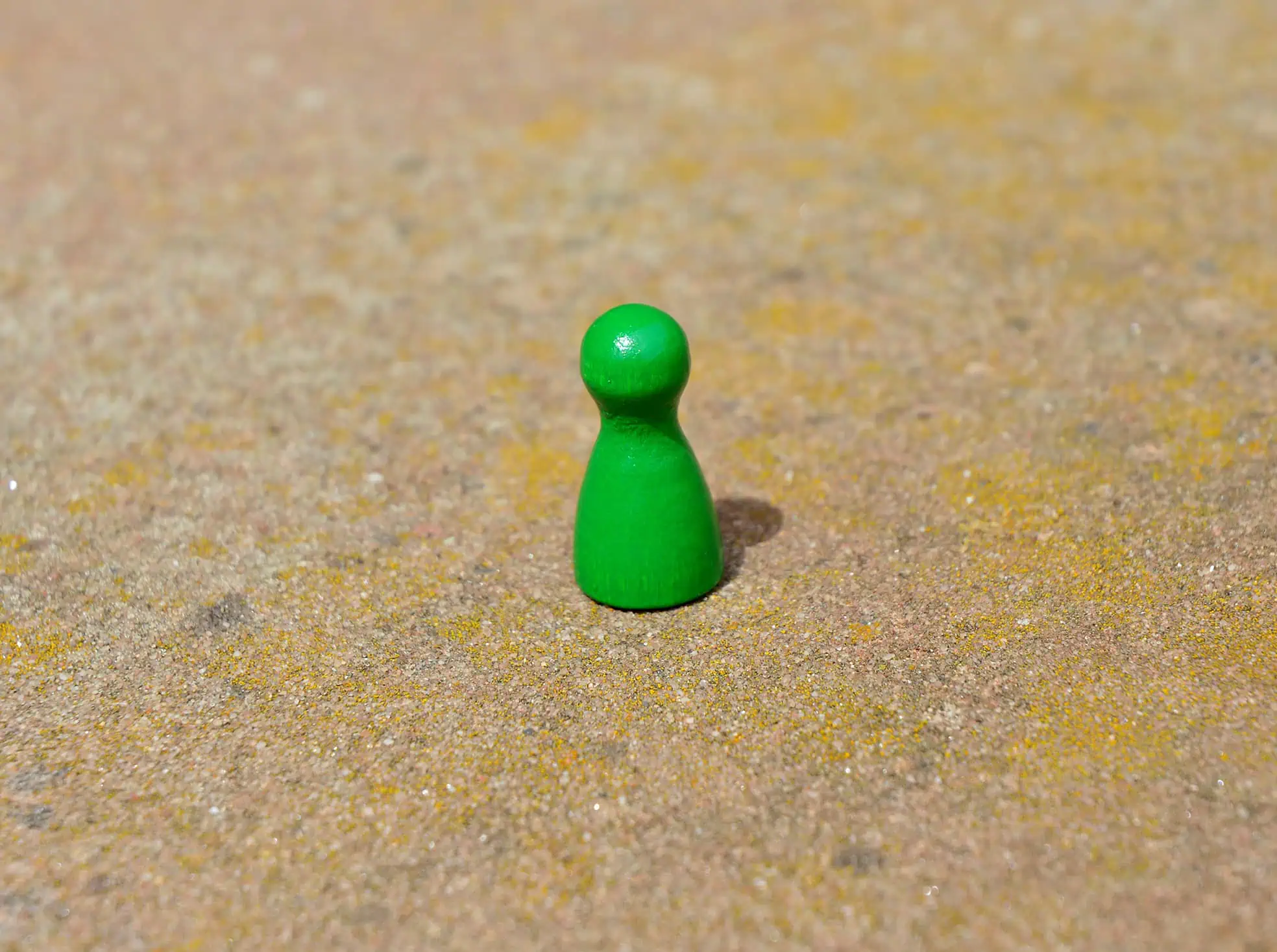 Eintritt Kinder Frank Wieland
