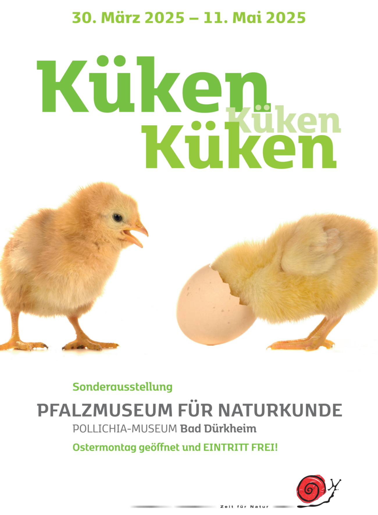 Poster e1740563326756