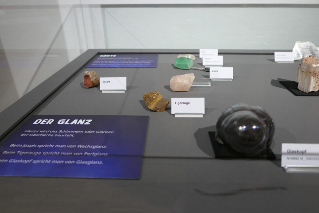 Rock it! 9 Bildquelle: Pfalzmuseum für Naturkunde